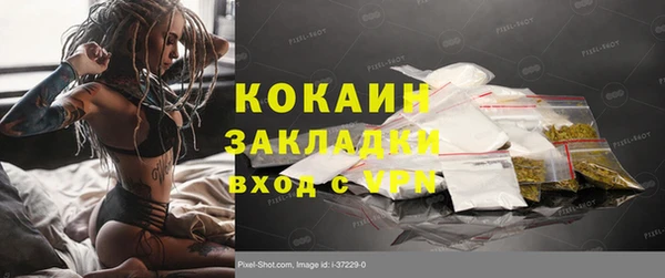 сатива Армянск