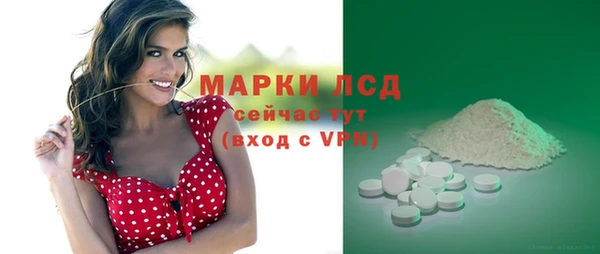 сатива Армянск
