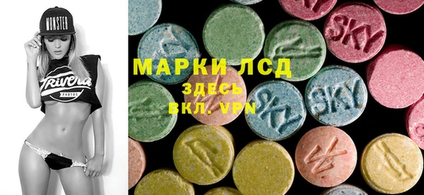 сатива Армянск