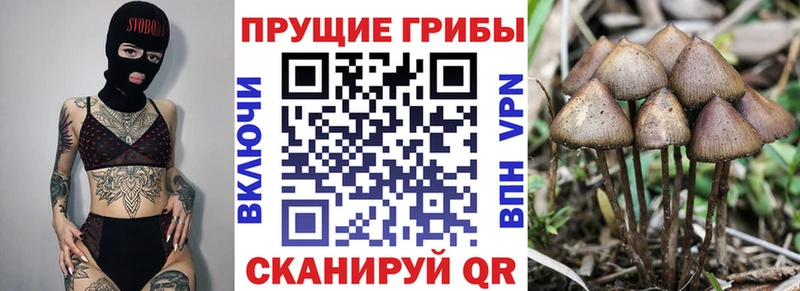 Галлюциногенные грибы MAGIC MUSHROOMS Макарьев